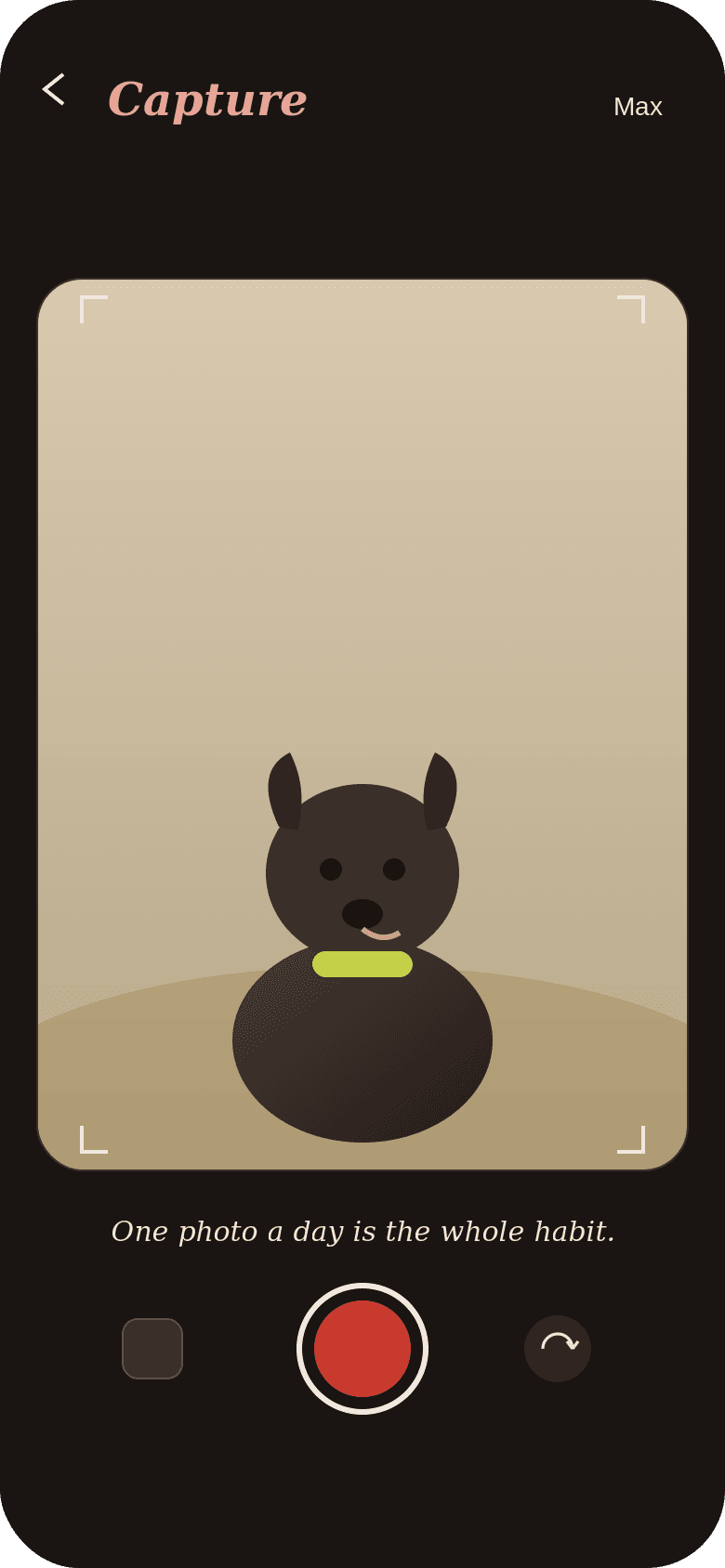 Sodalys — ecranul Camera